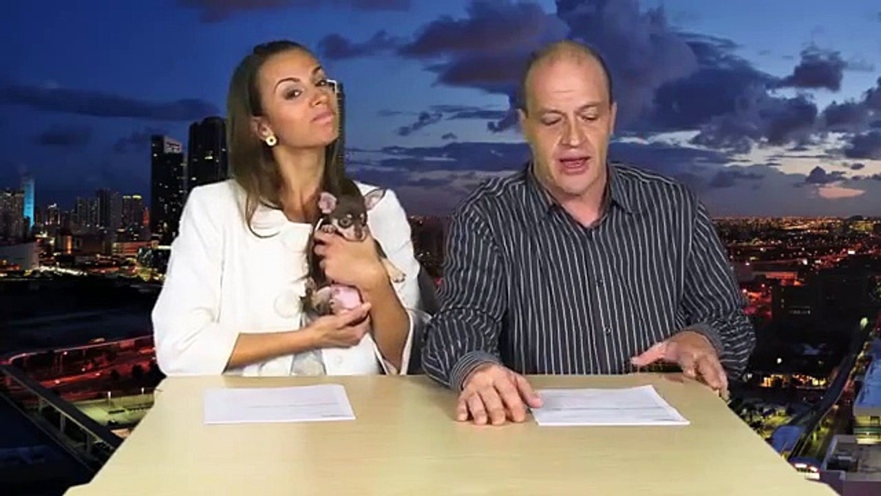 TigerDirect TV Tech Update 145 Puppies!