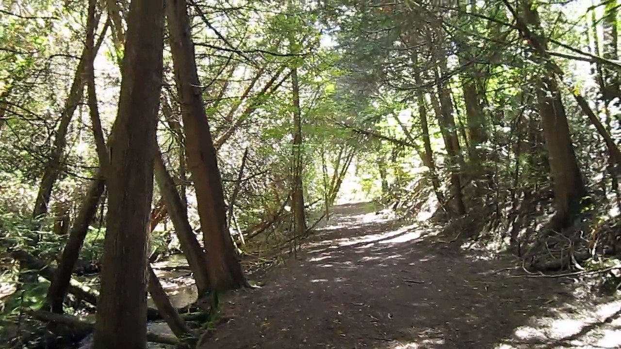 Leskard Trail