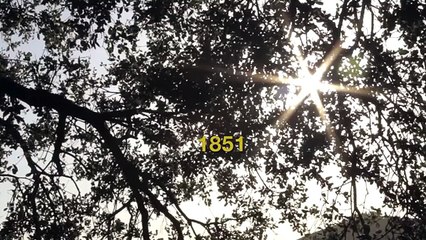 Russell Simmons' Harriet Tubman Controversy