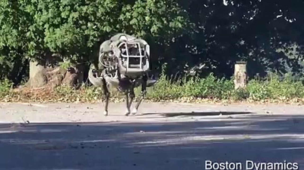 Amazing Robotic Dog