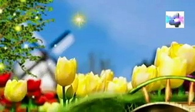 soñar con cocodrilos significado de los sueños español latin