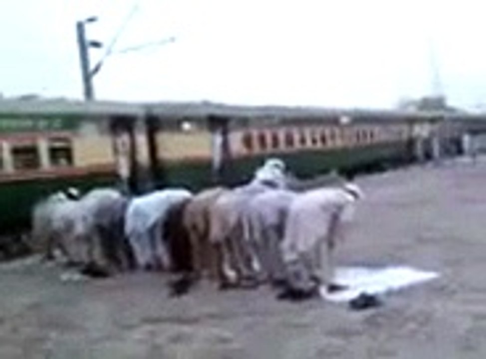 The Most Funny Video