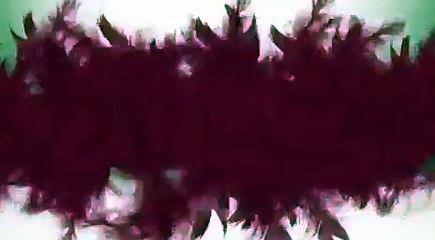 ®©™€Ńķ 1.64.maint