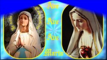 AM40. Lourdes & Vierge Sainte : Instrumental avec percussions