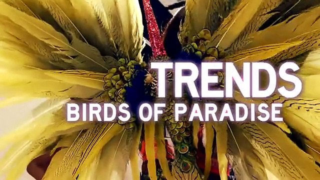 Behind the 2013 Victoria's Secret Fashion Show Trends Birds of Paradise