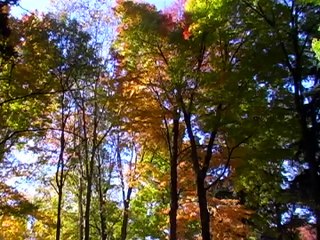 Fall Scenes set to Music (HVCJC)