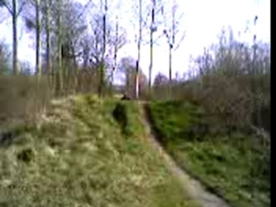 Video 0305-0001