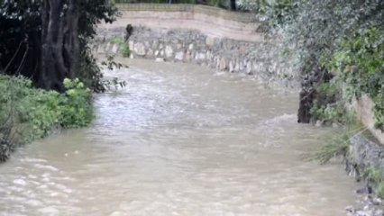 Sağanağın Ardından