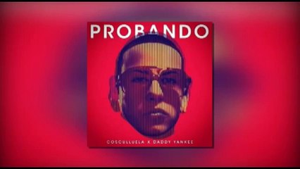 El Rey de los Versos 2014 - Resumen del Año