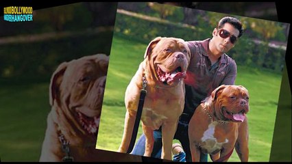 Salman Khan QUITS shooting for Bajrangi Bhaijaan (BREAKING NEWS)