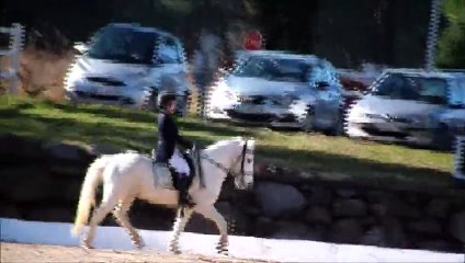 Névo, Dressage Vidauban 2013