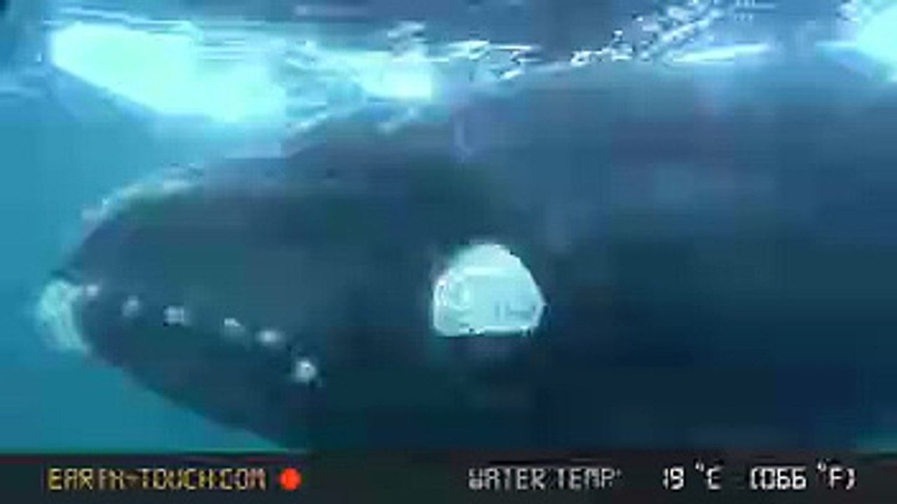 test-vid-brightroll Mweb iOS