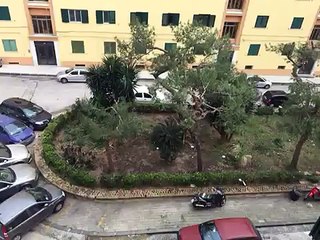 MeteoReporter Napoli 9/02/2015