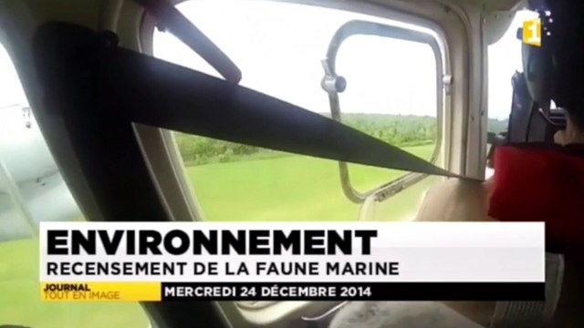 REMMOA sur Wallis première le 24-12-2014 Avancement de la campagne