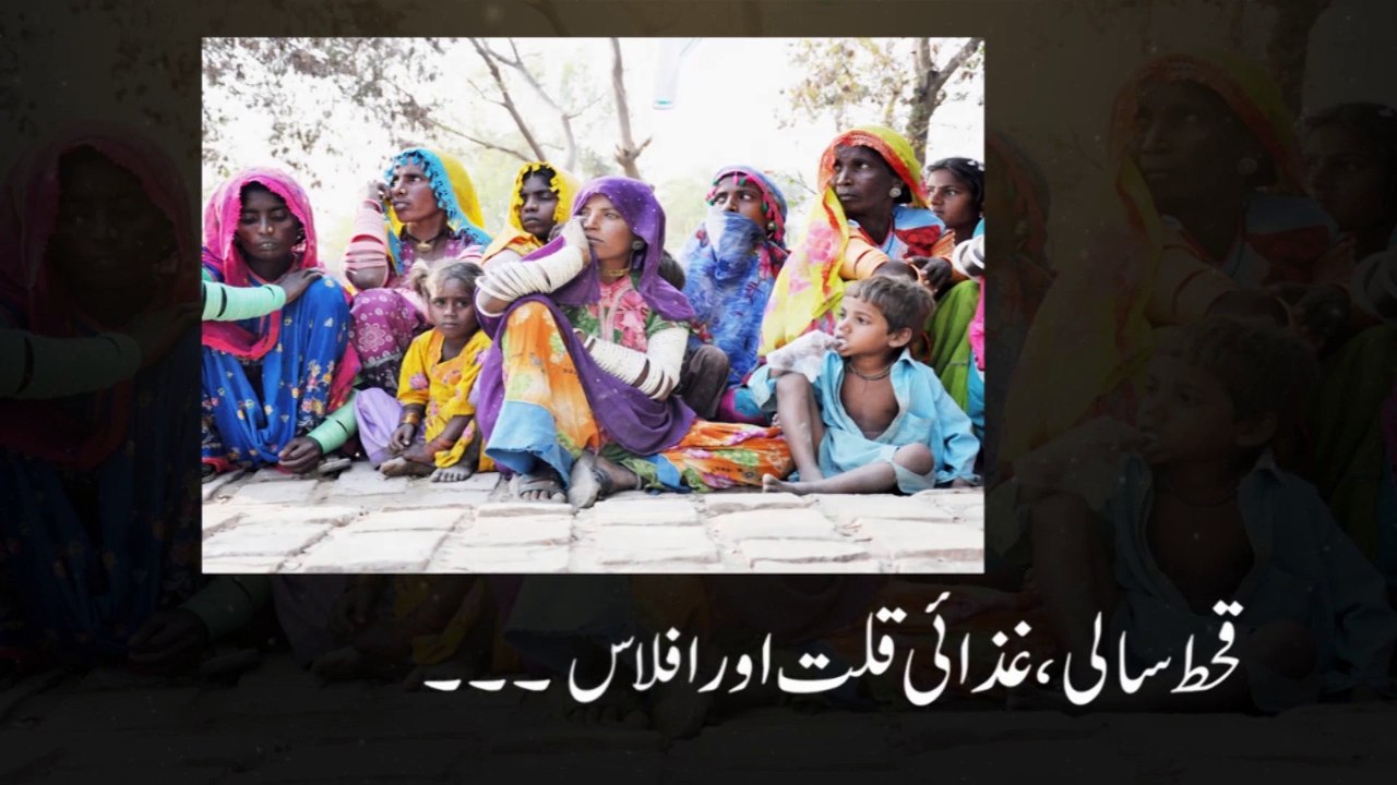 Donation for Thar SF-Media