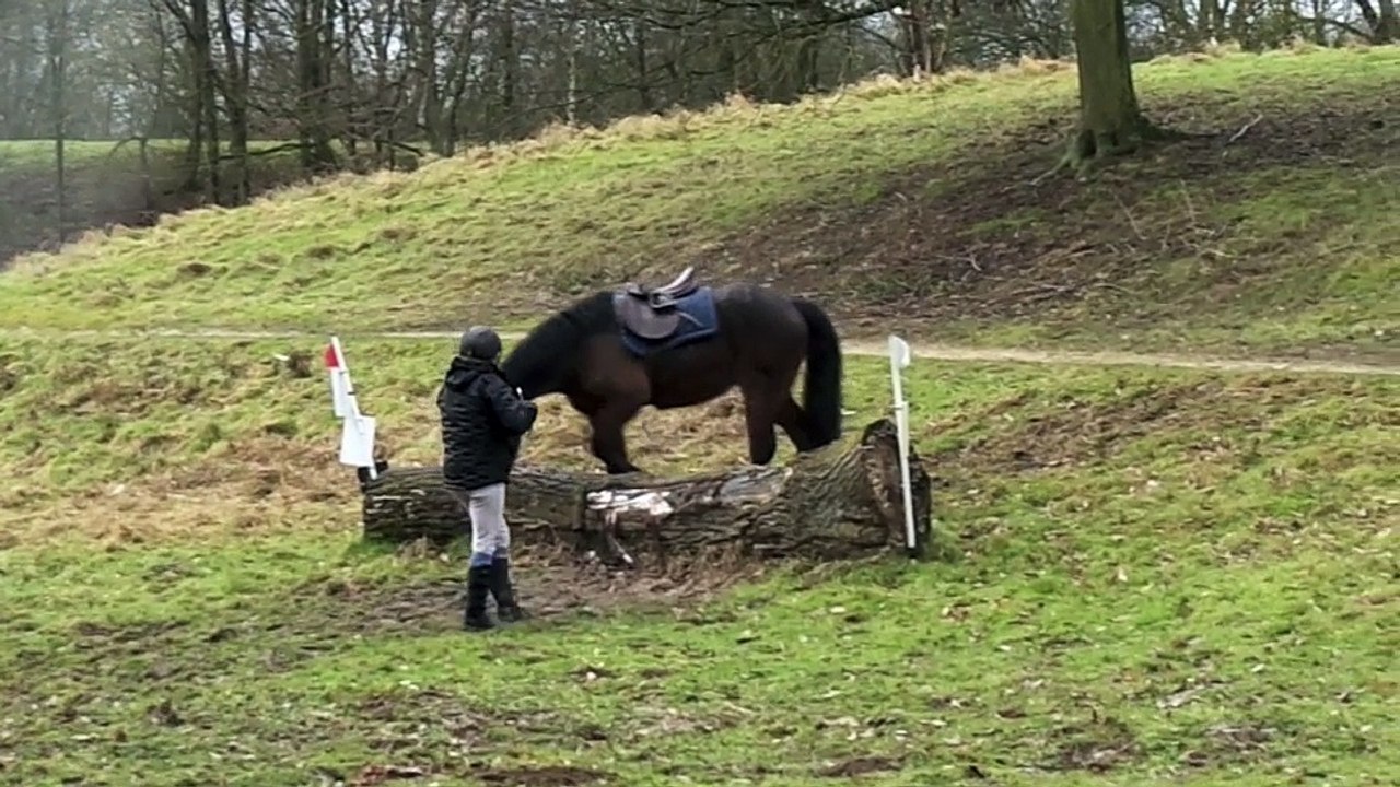 Valino et le tronc en main
