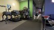 Spot, le chien-robot de la société Boston Dynamics