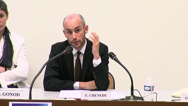 IMH_colloque RRJC_18_ Légitimation et efficience de la garantie des droits constitutionnels par le juge judiciaire : une protection des droits contre l’intérêt général esquivée ? , François Chénedé, Professeur de droit privé à l’Université de Lyon 3