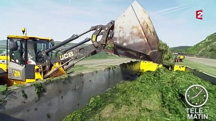 Le principe du pollueur payeur remis en cause