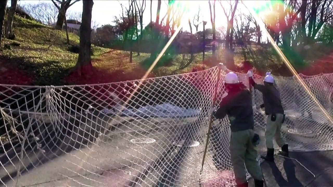 Un zoo japonais simule l'évasion d'un léopard des neiges