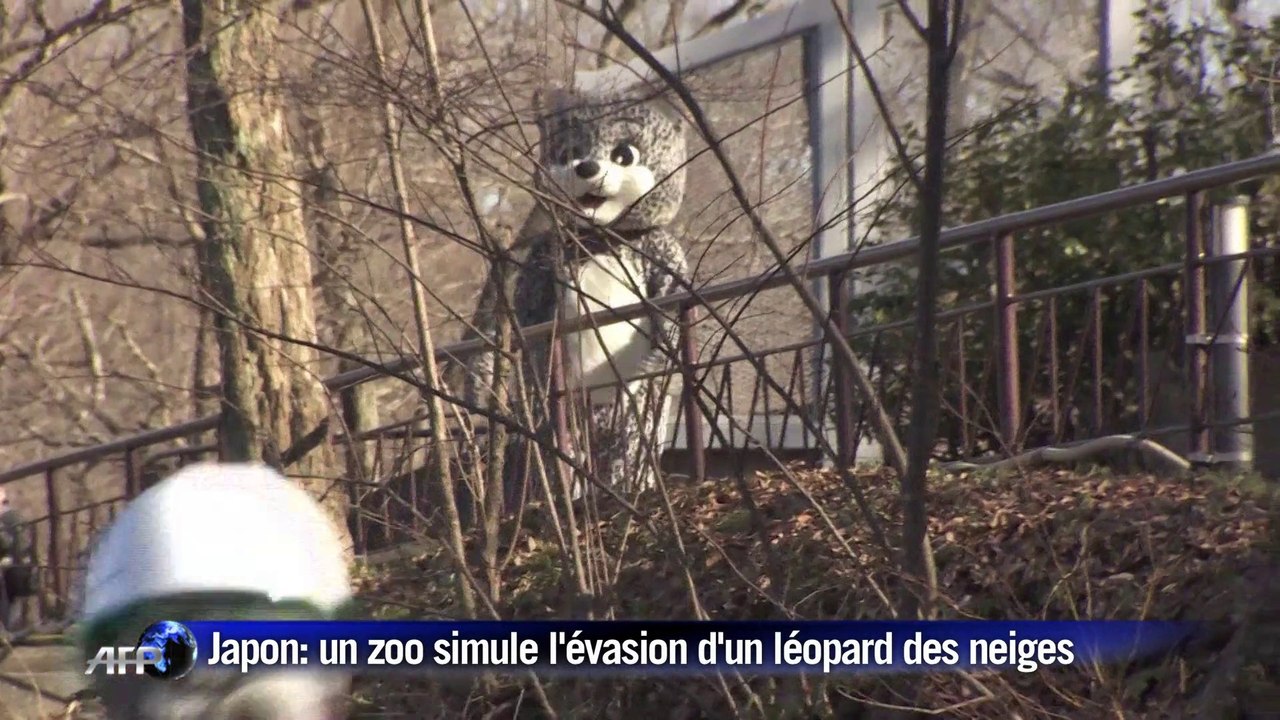 Scène improbable au zoo de Tokyo : une simulati...