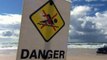 Australian authorities hunt down shark that killed surfer