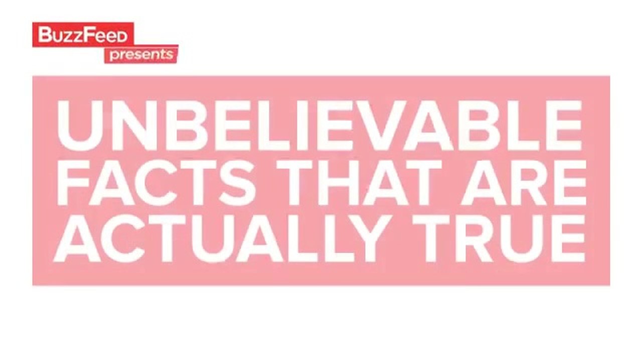 Unbelievable Facts That Are Actually True