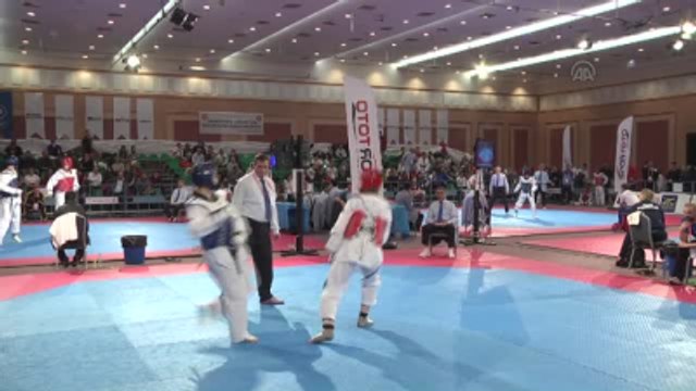 3. Avrupa Kulüpler Tekvando Şampiyonası Başladı