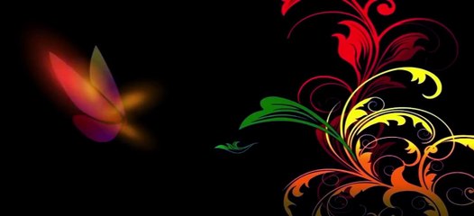 Bigg Boss 8 Fame Ali Quli Mirza's Interview