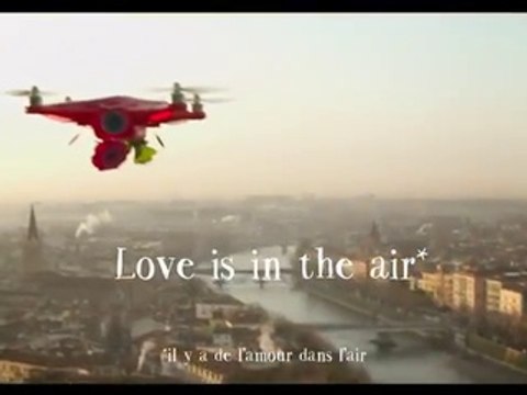 Kingsday Amsterdam pour La Joie des fleurs (Office hollandais des fleurs) - fleuriste lajoiedesfleurs.fr, «Cupidrone» - février 2015