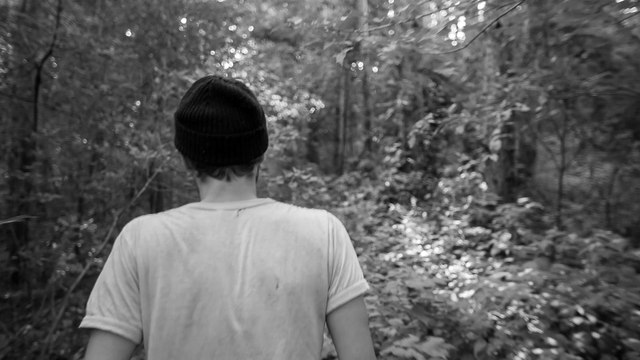 The Tallest Man On Earth - 'Dark Bird Is Home' (Album Trailer)