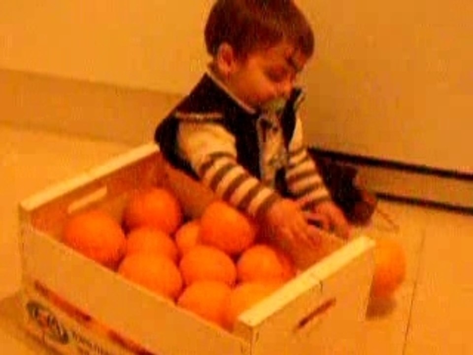 DSCN2195