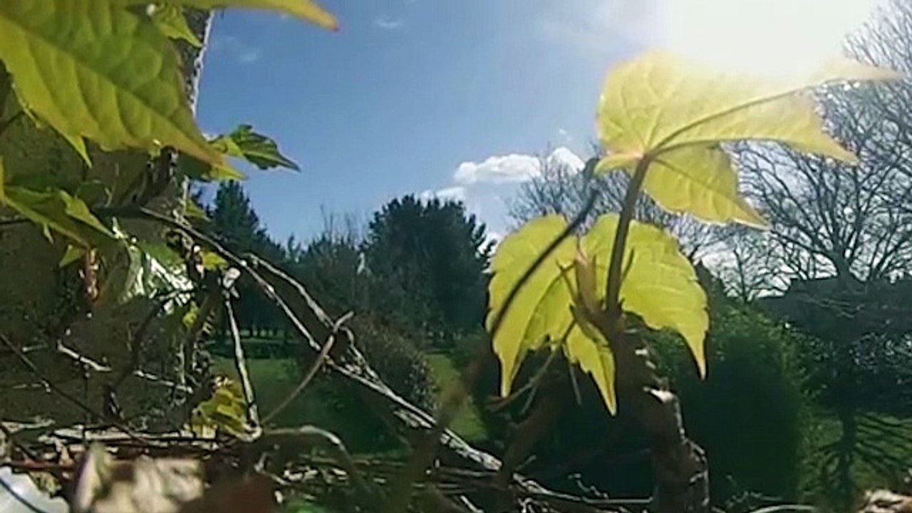 Walking On Air