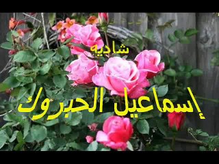 الورد و الشوك - شاديه