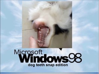 [Short WNR] Windows 98 Dog Teeth Snap Edition