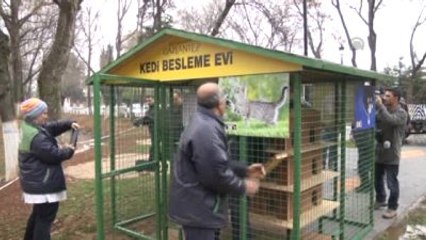 Sokak Kedilerine "Sıcak Yuva"