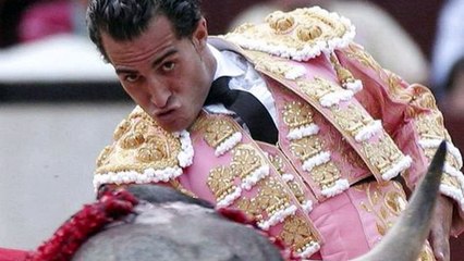 III Congreso Taurino de Catalunya 2015: El Toro, más allá de los tópicos