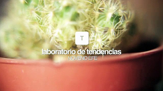Noveno Efe: Laboratorio de Tendencias