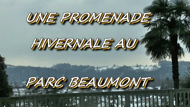 MICHOU64 W-D.D. VOUS PROPOSE - 6 FÉVRIER 2015 - UNE PROMENADE HIVERNALE AU PARC BEAUMONT.