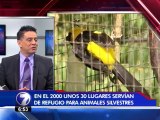 Expertos advierten sobre necesidad de mayor protección a fauna silvestre