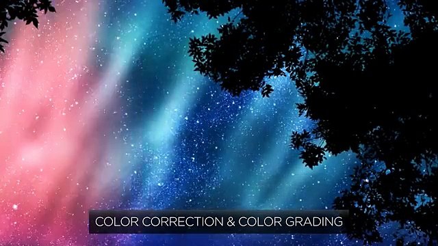 MAGIX Movie Edit Pro 2014 Premium (INT) - Video editing software