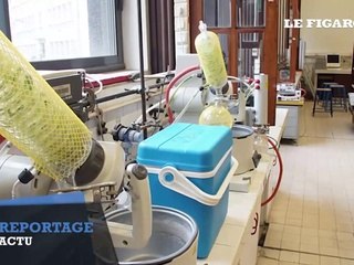 Rénovations pharaoniques pour la prestigieuse «école des prix Nobel»