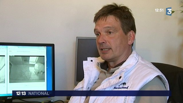 Un ours polaire est né au Marineland d'Antibes