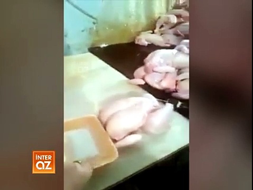 Böyle zehirleniyoruz