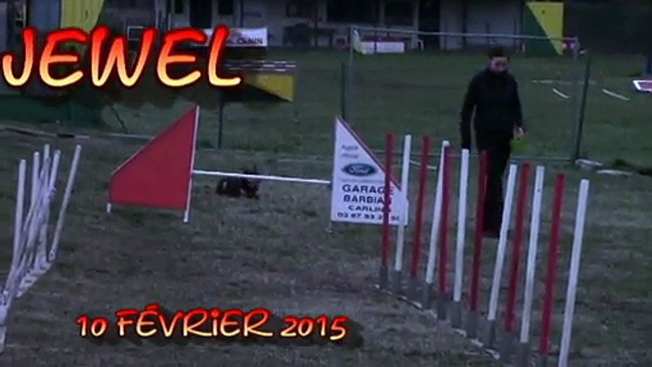 Ringarooma Jewel... 1 an... petit atelier du 10 février 2015