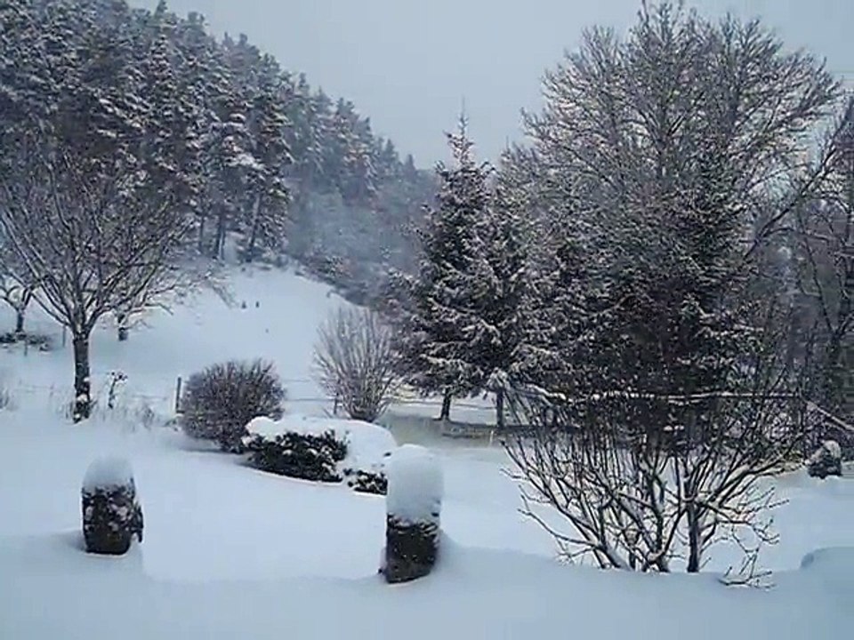 P2011011