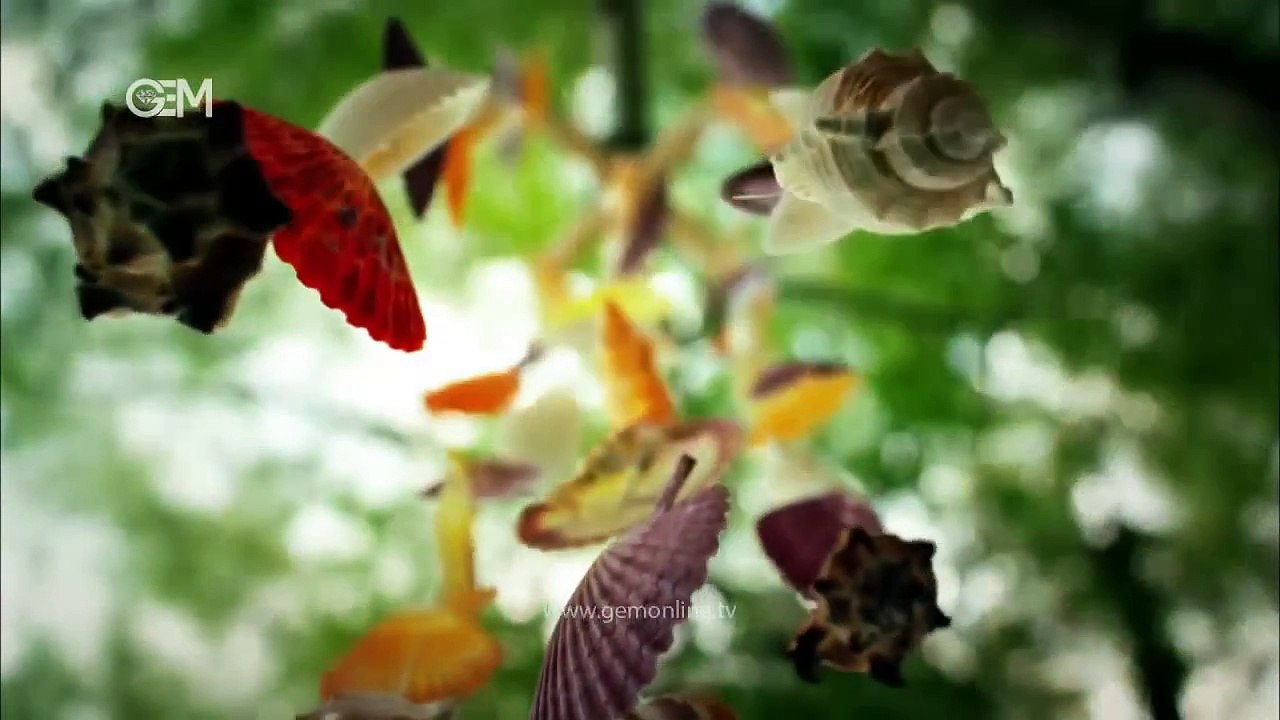 نماهنگ سریال ترکی‌ در انتظار آفتاب‬