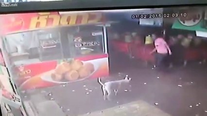 Il veut frapper un chien et se fait punir par le karma