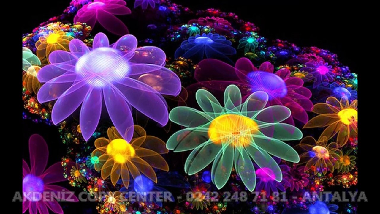 Sevgililer Gününüz Kutlu Olsun - Harika Bir Aşk Şarkısı