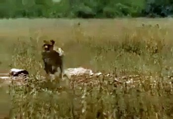 Qui est le plus rapide #Zakch